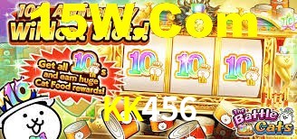 Premium Interface KK456